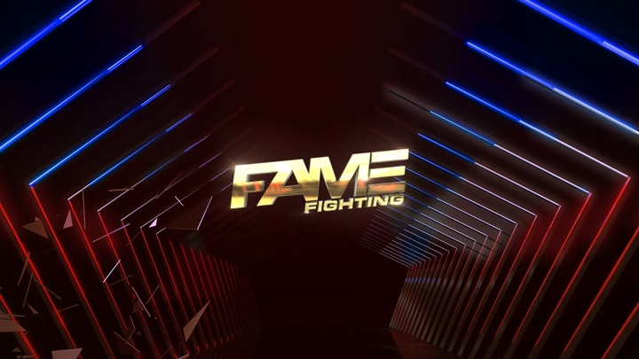 Fame Fighting 2024