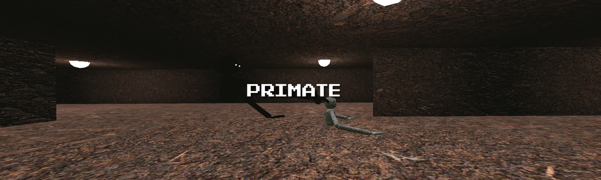 Primate