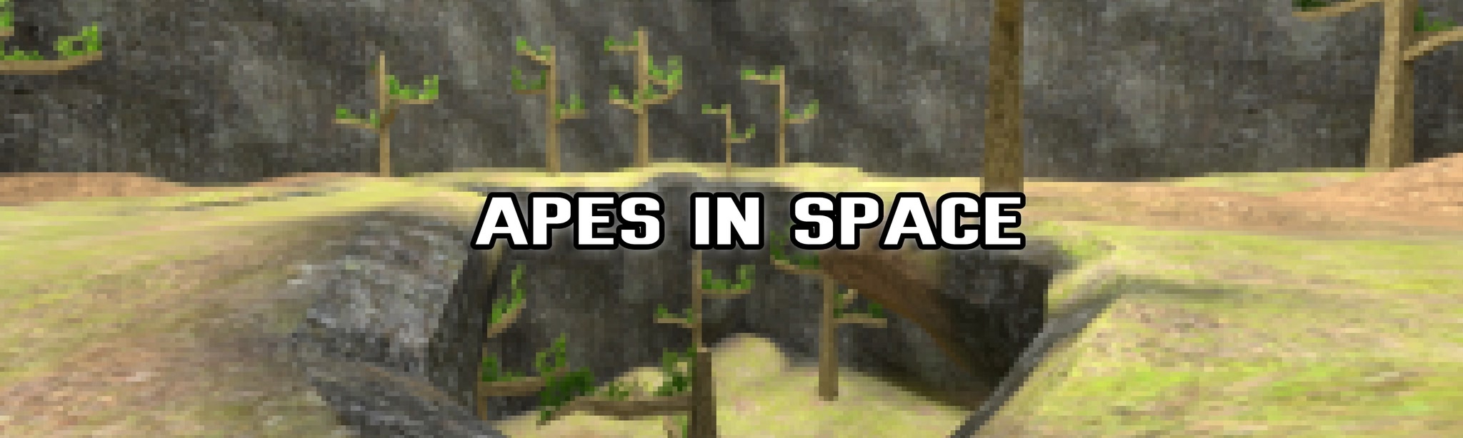 Apes In Space