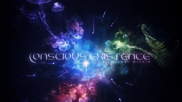 Conscious Existence - A Journey Within