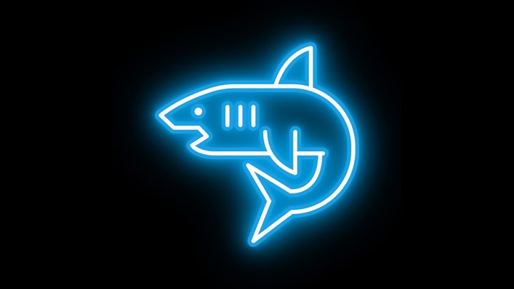 Into The Deep