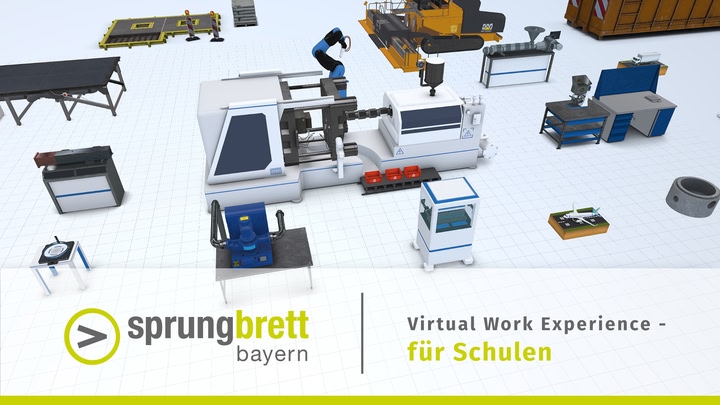 Virtual Work Experience