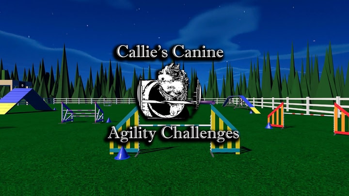 Callie’s Canine Agility Challenges