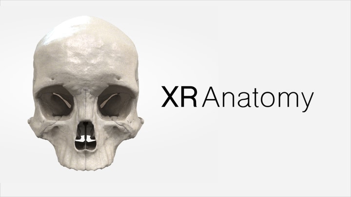 XR Anatomy