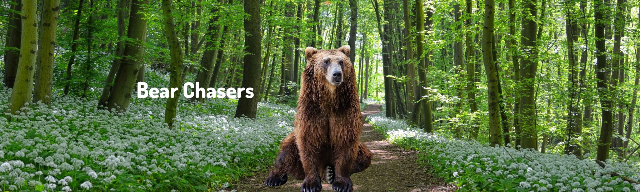 Bear Chasers