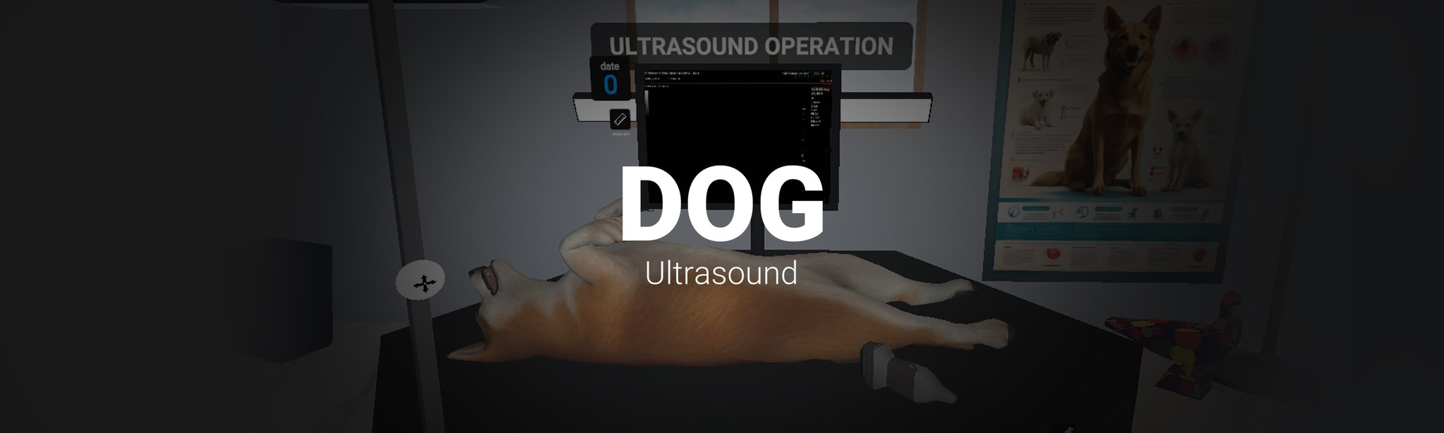 Dog Ultrasound