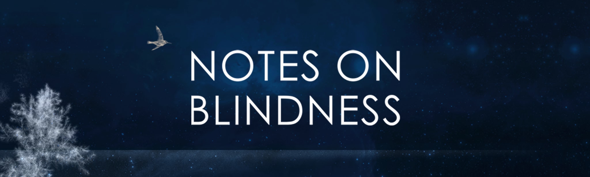 NOTES ON BLINDNESS