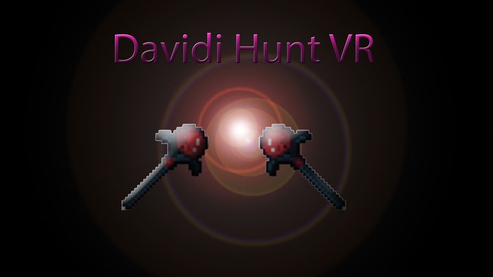 Davidi Hunt VR