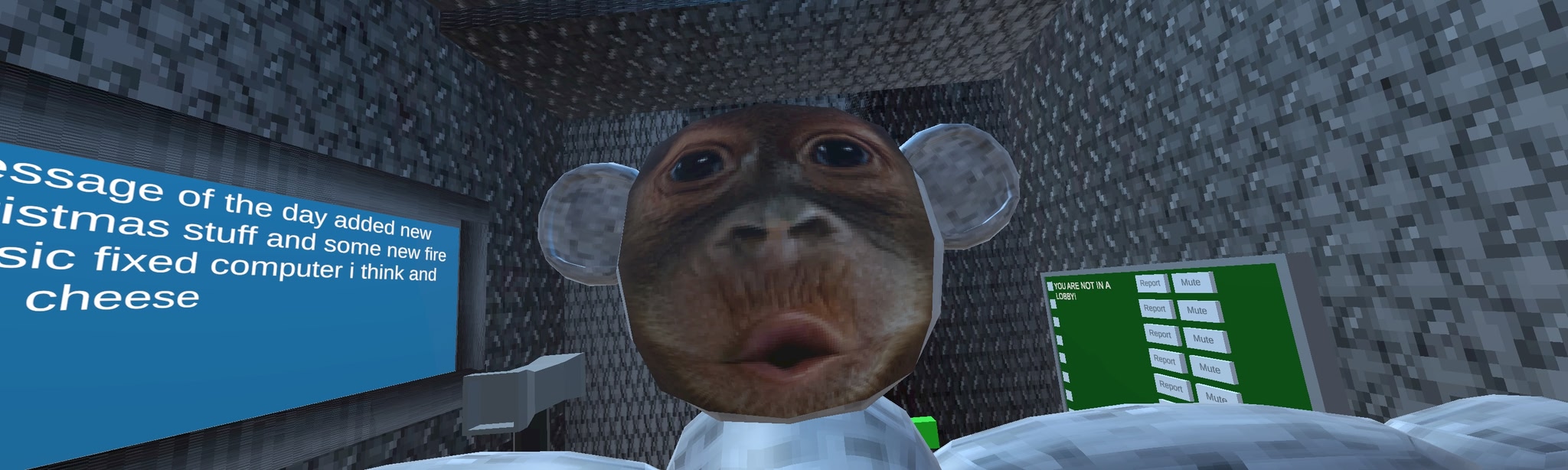 The lost monke