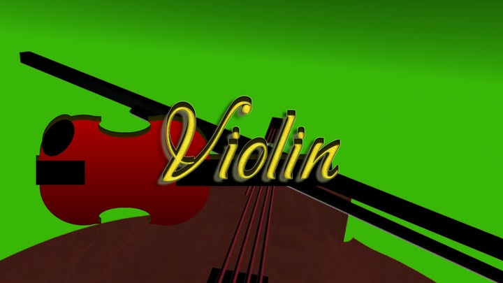 Violin