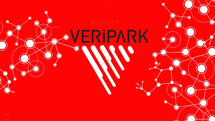 VeriPark NFT Gallery