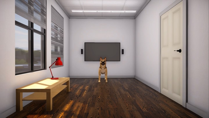 VBIDogExposure