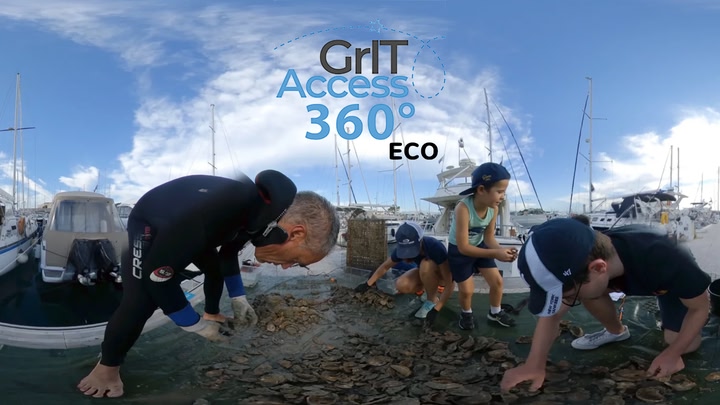 GritAccess360Eco