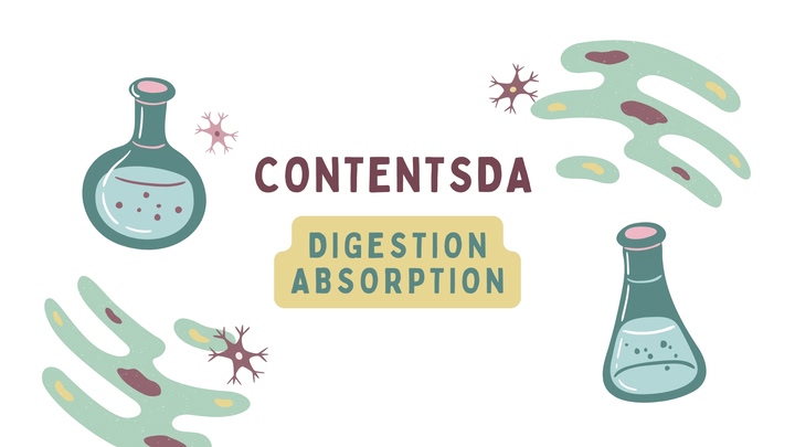 Digestion Absorption Experiment - ContentsDa Science Experiment