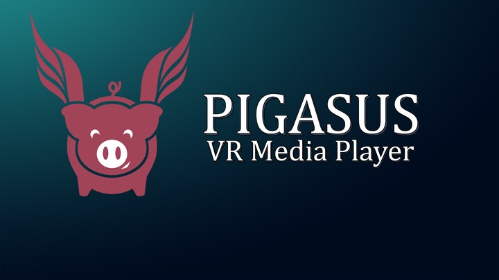 Pigasus VR Media Player