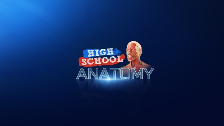 High School Anatomy for Quest