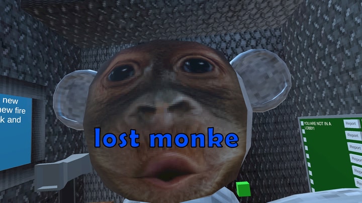 The lost monke