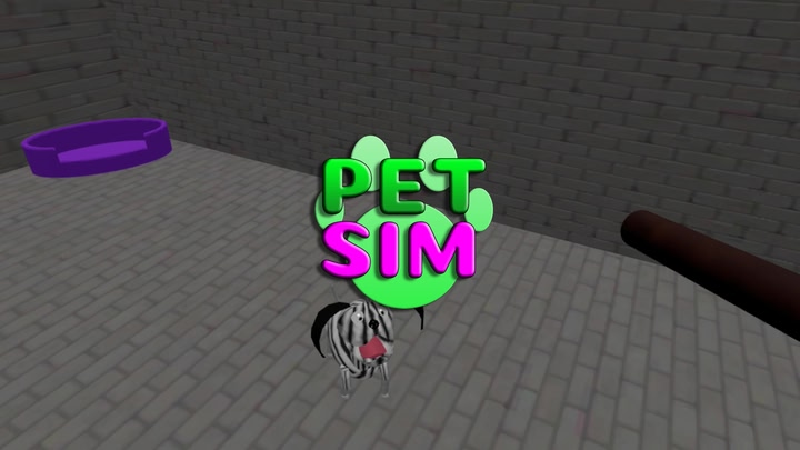 Pet Sim