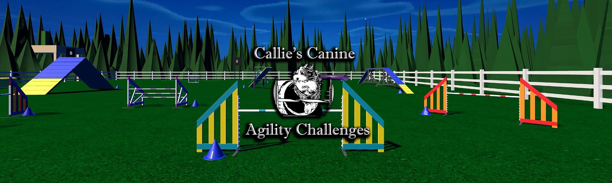 Callie’s Canine Agility Challenges