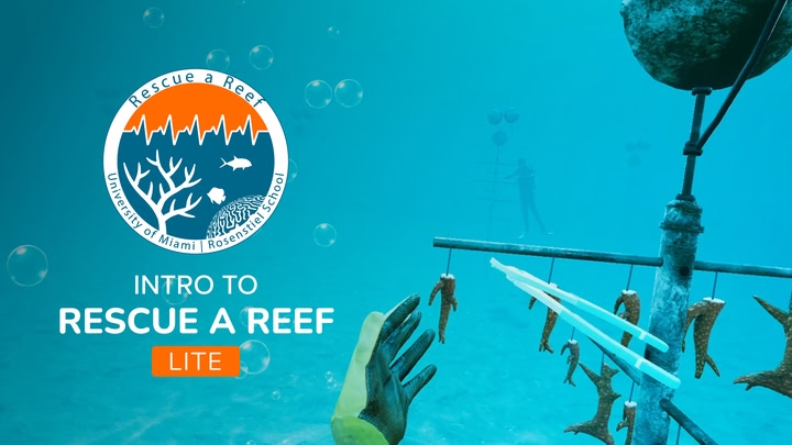 How to Rescue a Reef LITE