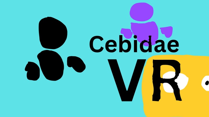 Cebidae VR