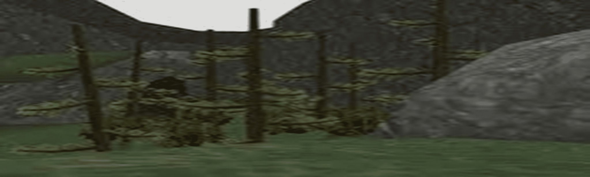 Forest Tag