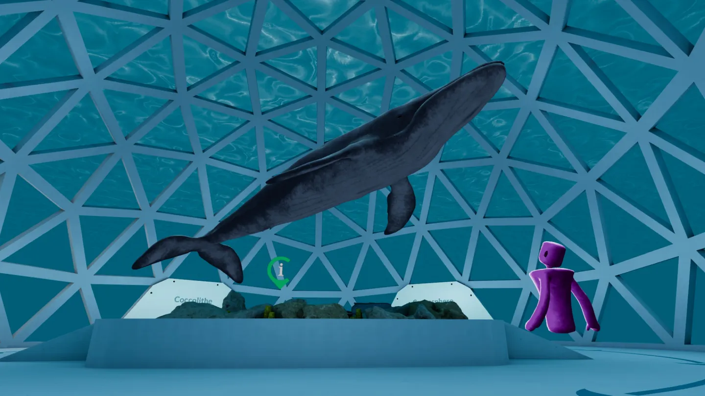 Captura de pantalla