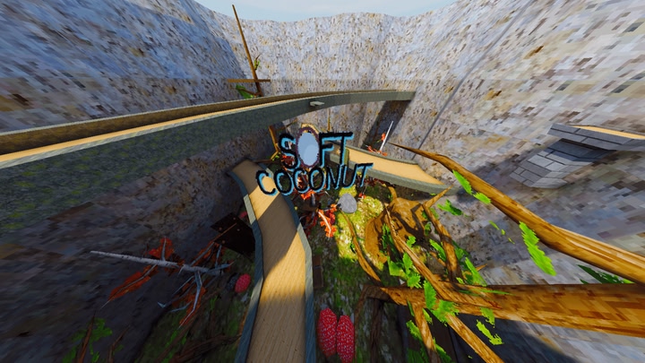 Soft Coconut