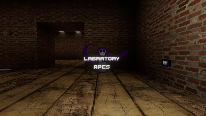 Labratory Apes