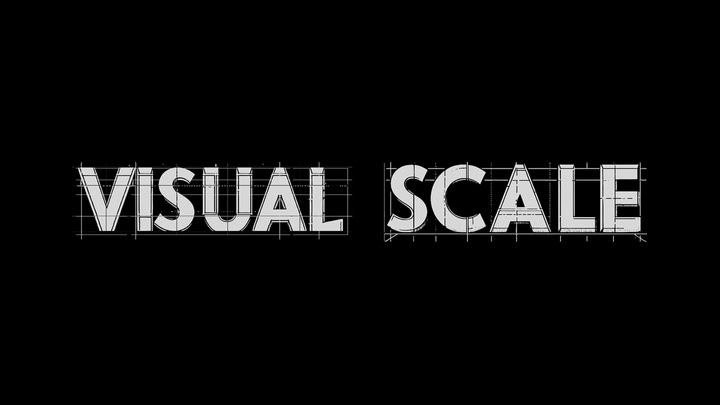 Visual Scale