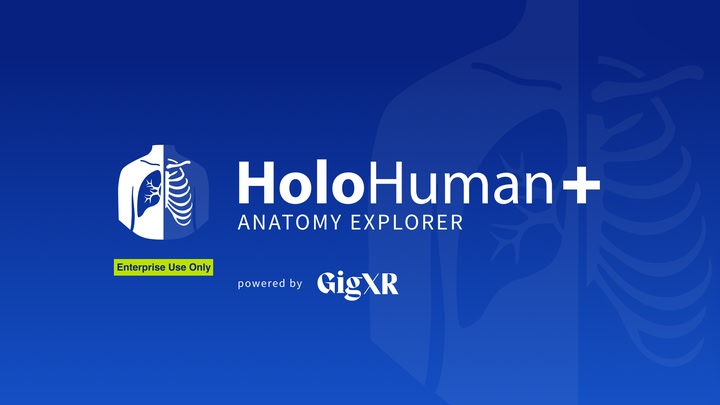 HoloHuman+