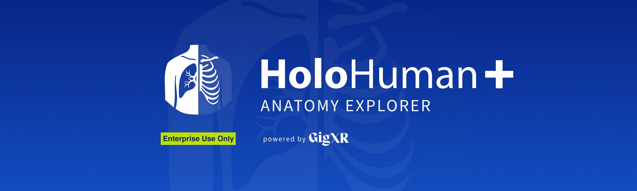 HoloHuman+