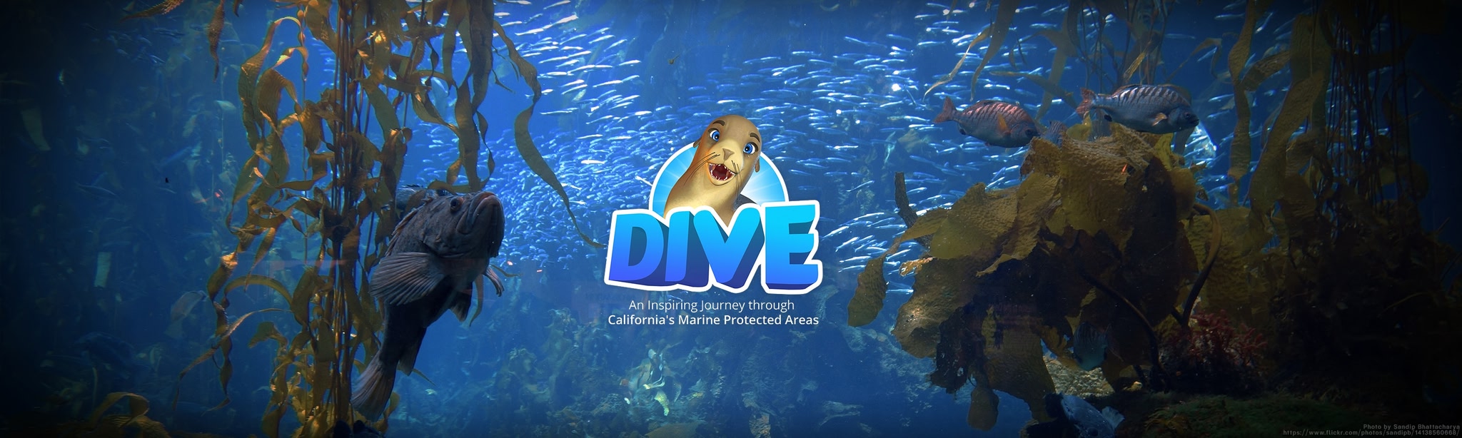 DIVE: Journey through California’s MPA