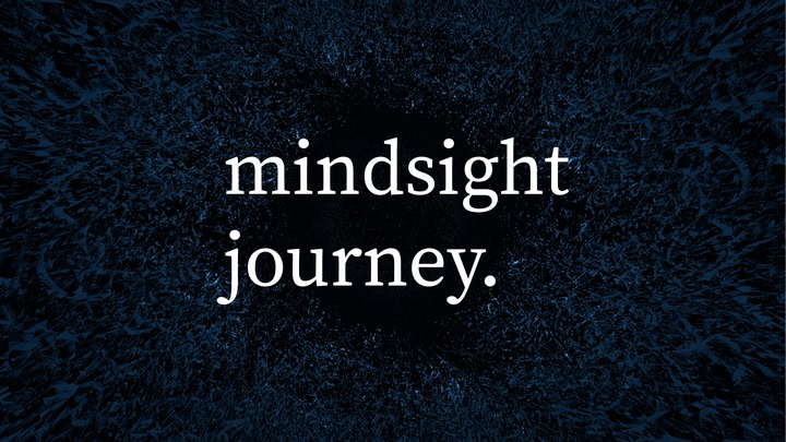 Mindsight Journey