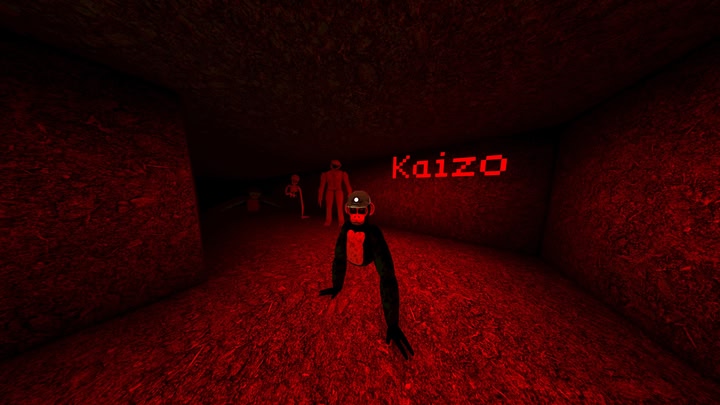 Kaizo