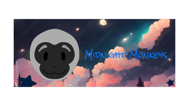 MidNight Monkeys
