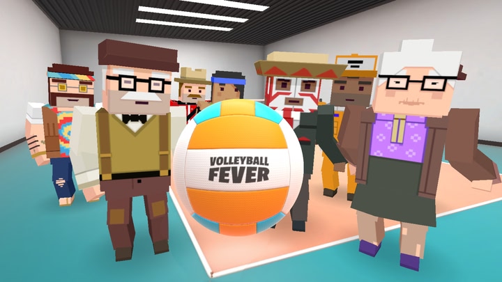 Volleyball Fever