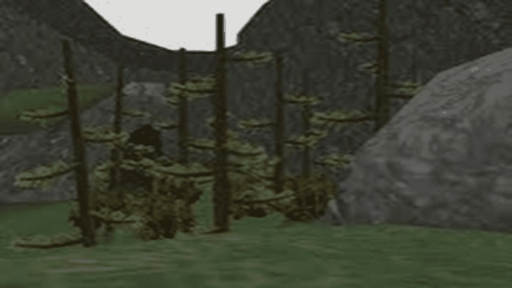Forest Tag
