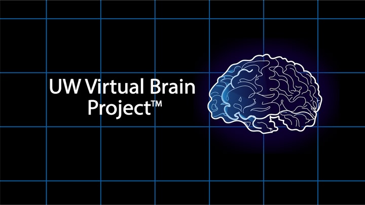 UW Virtual Brain Project