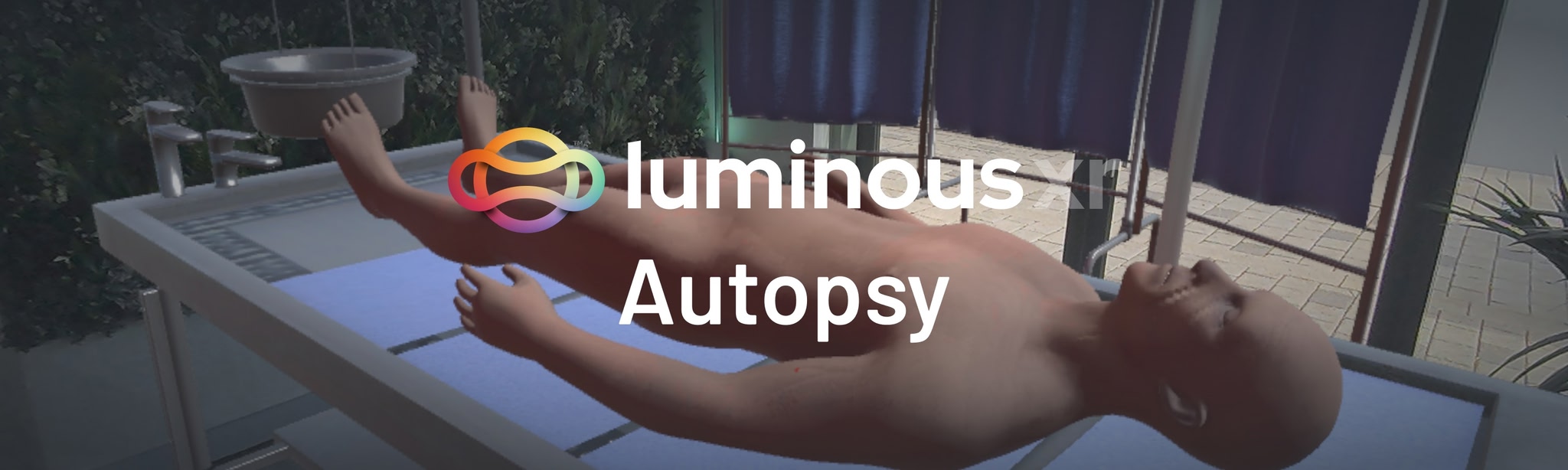 LuminousXR Autopsy