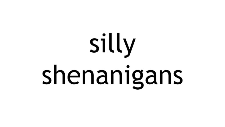 silly shenanigans