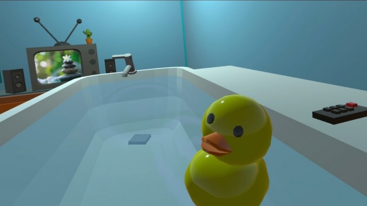 Bathtub Simulator