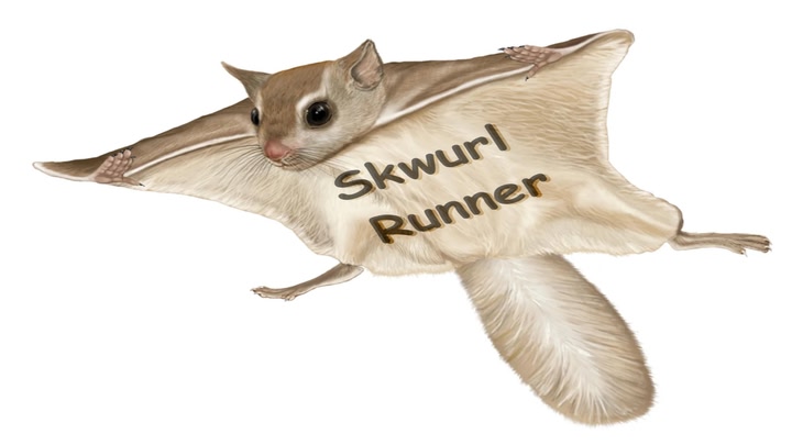 Skwurl Runner