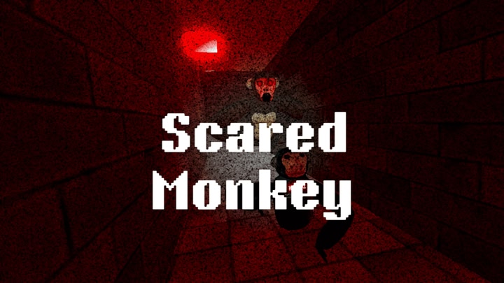 Scared Monkey