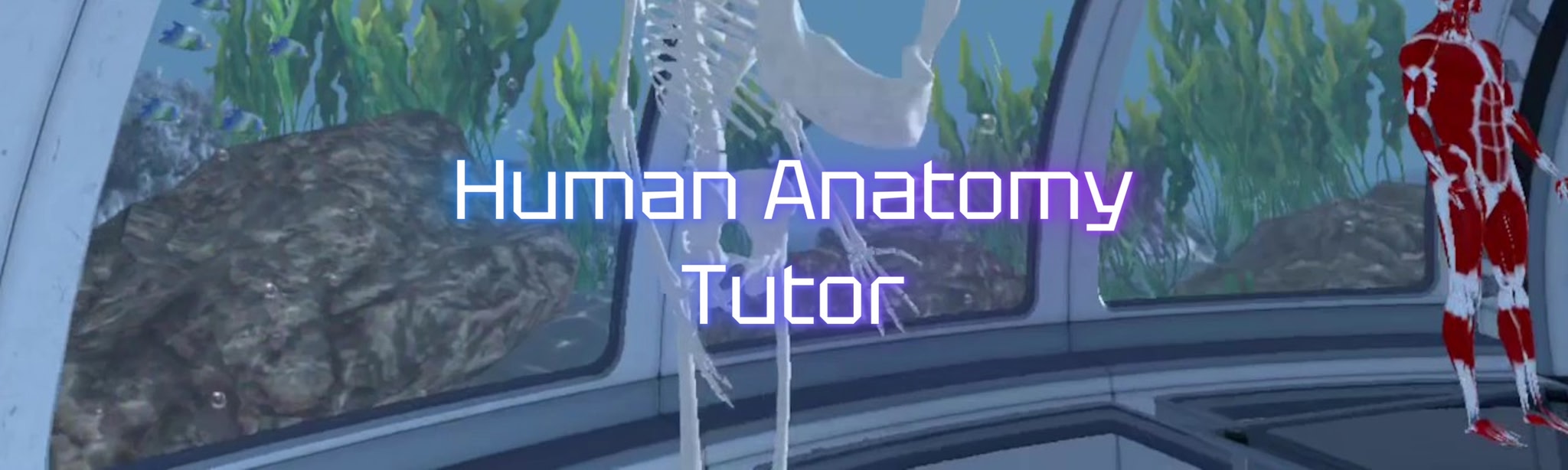 Human Anatomy Tutor