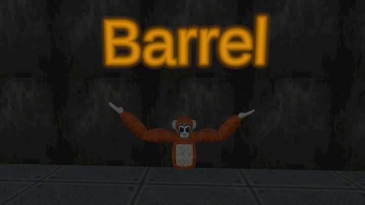 Barrel vr