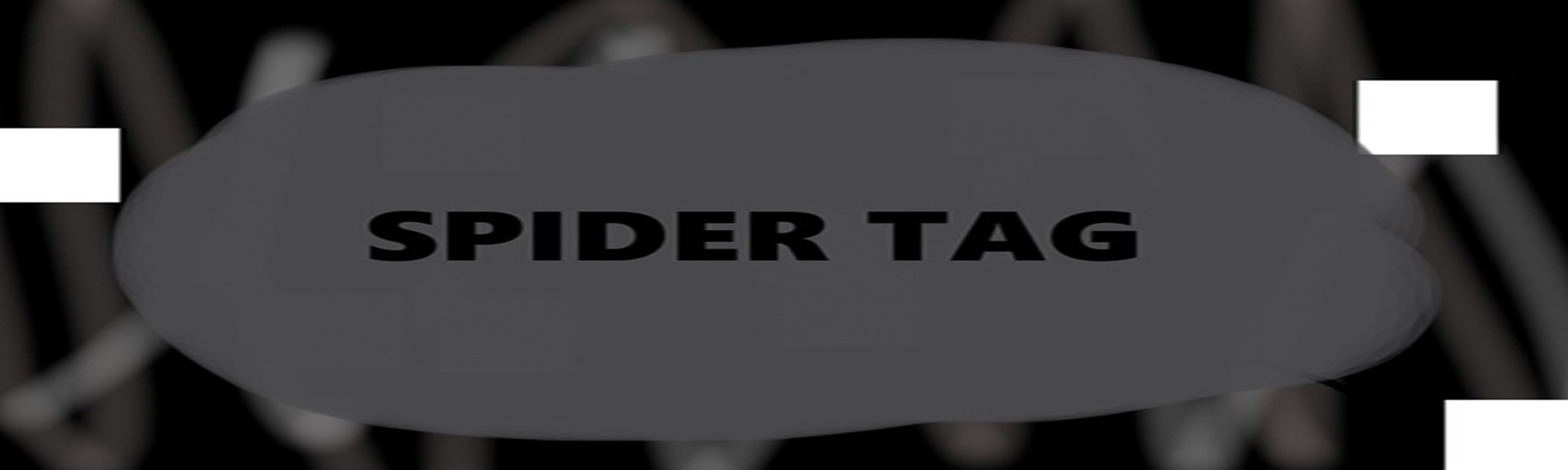 Spider Tag