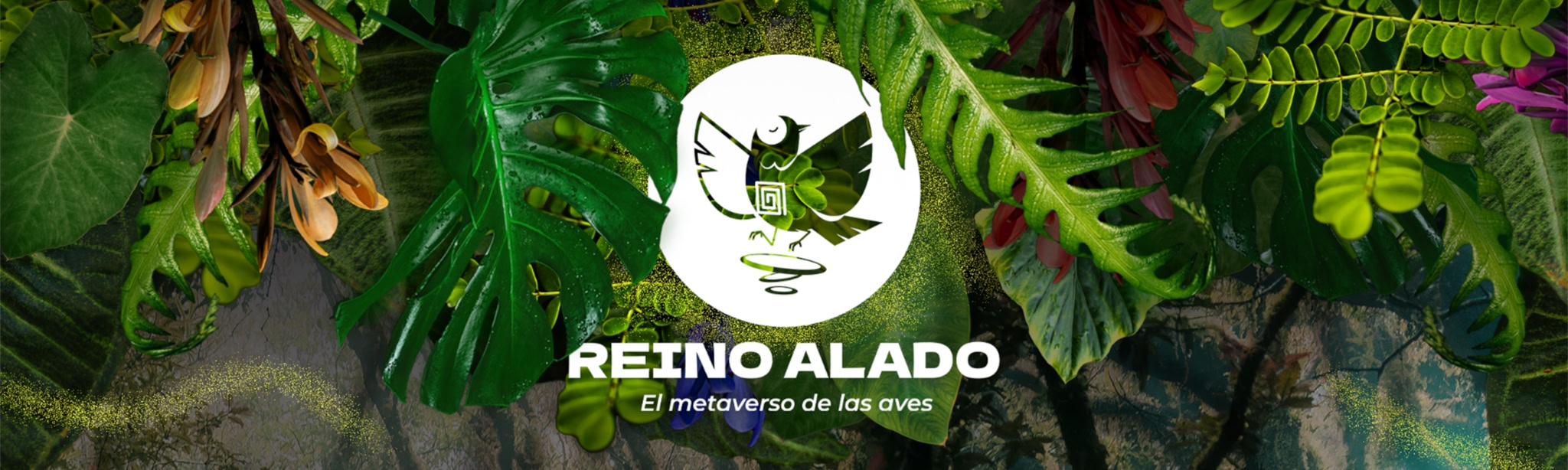 Birdwatching in El Reino Alado