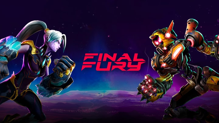 FINAL FURY