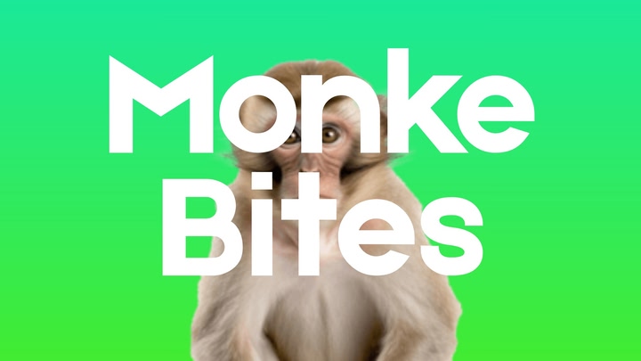 MonkeBites